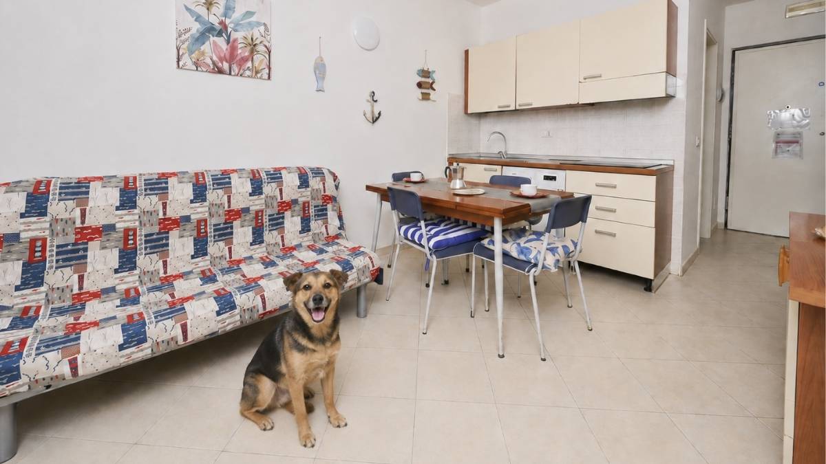 Vacanza con il cane a Marina di Grosseto scegli l'appartamento più adatto tra le offerte di Pineta Azzurra